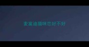 麦富迪猫咪恋好不好