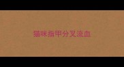 猫咪指甲分叉流血