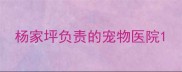 杨家坪负责的宠物医院