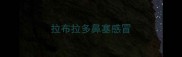 拉布拉多鼻塞感冒