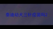 泰迪幼犬三针疫苗吗