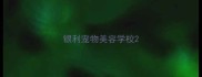 银利宠物美容学校