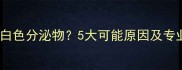 猫咪鼻腔有白色分泌物5大可能原因及专业应对指南