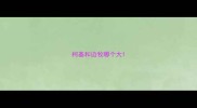 柯基和边牧哪个大