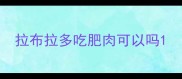 拉布拉多吃肥肉可以吗
