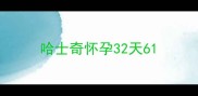 哈士奇怀孕32天6