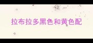拉布拉多黑色和黄色配