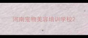 河南宠物美容培训学校