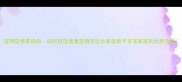 宠物店推荐指南如何挑选健康宠物及适合家庭新手多宠家庭的优质选择