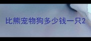 比熊宠物狗多少钱一只