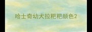 哈士奇幼犬拉粑粑颜色