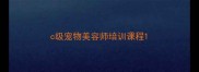 c级宠物美容师培训课程