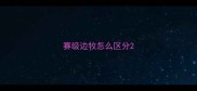 赛级边牧怎么区分
