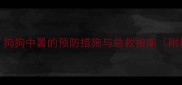 夏季养狗必看狗狗中暑的预防措施与急救指南附科学护理方法