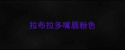拉布拉多嘴唇粉色
