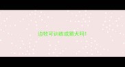 边牧可训练成猎犬吗