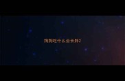 狗狗吃什么会长胖