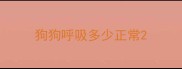 狗狗呼吸多少正常