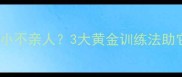 8个月哈士奇胆小不亲人3大黄金训练法助它快速打开心扉