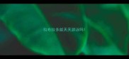 拉布拉多能天天游泳吗