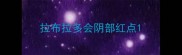 拉布拉多会阴部红点