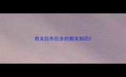 有关拉布拉多的相关知识