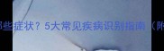 猫咪生病有哪些症状5大常见疾病识别指南附急救措施
