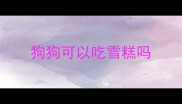 狗狗可以吃雪糕吗