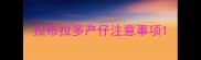 拉布拉多产仔注意事项