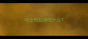 哈士奇拉稀吃什么