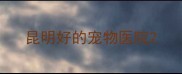 昆明好的宠物医院