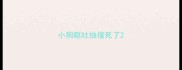 小狗呕吐抽搐死了
