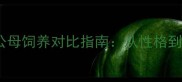 金毛犬公母饲养对比指南从性格到护理全