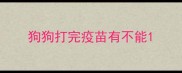 狗狗打完疫苗有不能