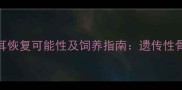 拉布拉多折耳恢复可能性及饲养指南遗传性骨骼病护理全