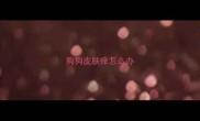 狗狗皮肤痒怎么办