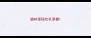 猫咪便秘吃乳果糖
