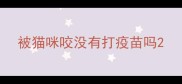 被猫咪咬没有打疫苗吗