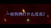 一般狗狗打什么疫苗