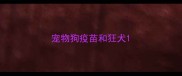 宠物狗疫苗和狂犬