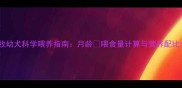 边牧幼犬科学喂养指南月龄喂食量计算与营养配比全
