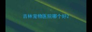 吉林宠物医院哪个好