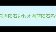只有陨石边牧才有蓝陨石吗