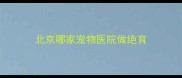 北京哪家宠物医院做绝育