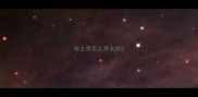 哈士奇怎么养长肉