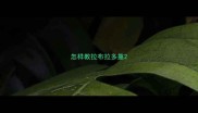 怎样教拉布拉多靠