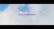 拉布拉多犬驯养时间