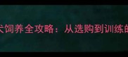 拉布拉多犬饲养全攻略从选购到训练的实用指南