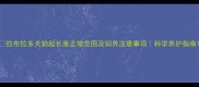 拉布拉多犬勃起长度正常范围及饲养注意事项科学养护指南