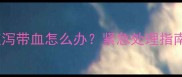 狗狗接种疫苗后腹泻带血怎么办紧急处理指南与科学预防方案